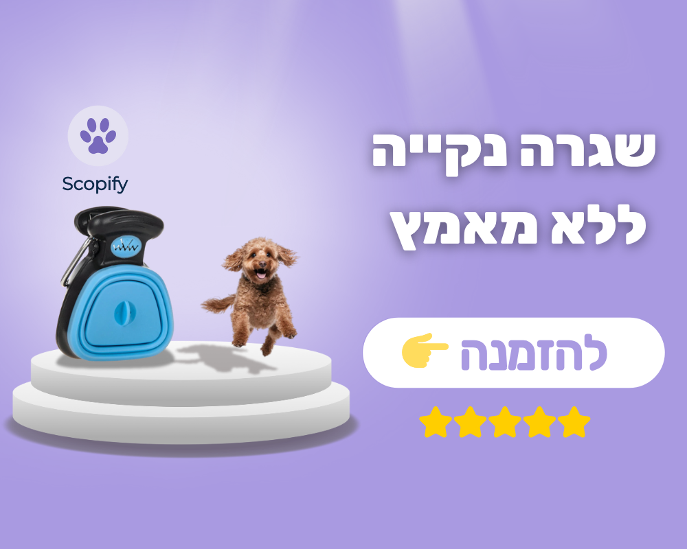 באנר ראשי